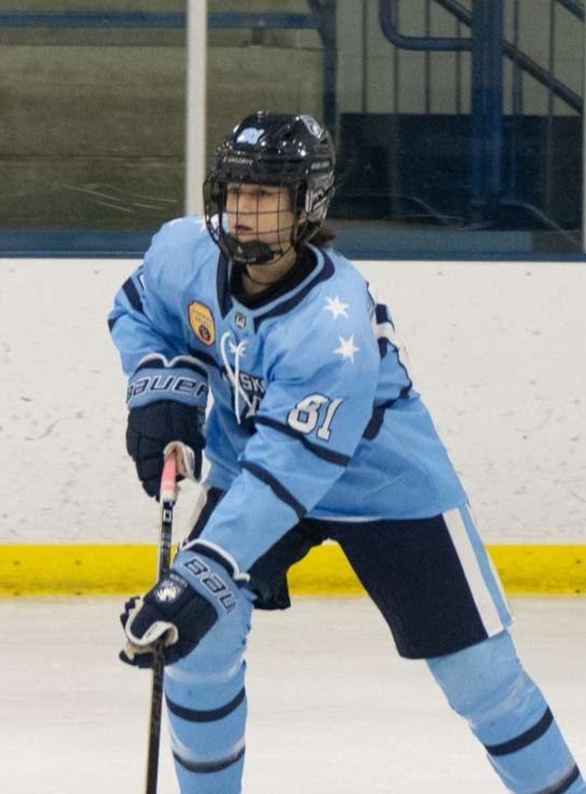 Luke Peterson, Orland Park Vikings